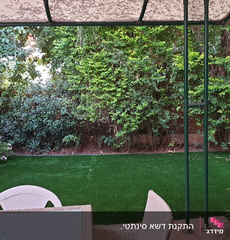 גינה עם דשא מלאכותי וצמחים ירוקים מסביב